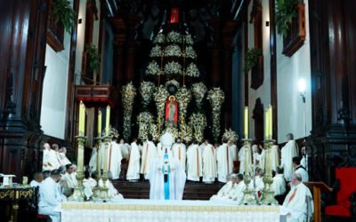 Campinas celebra o Dia de Nossa Senhora da Imaculada Conceição com reinauguração histórica na Catedral Metropolitana