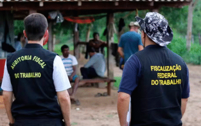 Denúncias de trabalho escravo atingem novo recorde no Brasil em 2025