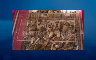 Restos mortais de São Francisco de Assis são expostos pela primeira vez para veneração dos fiéis